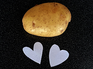 Jak vytvořit přání pomocí razítka z brambor