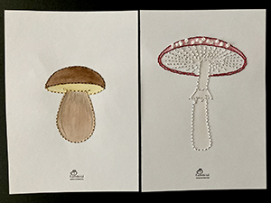 houby v lese - výšivka na papír